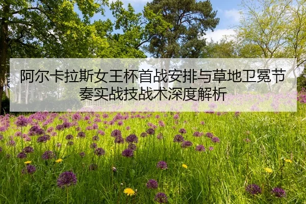a-er-ka-la-si-nv-wang-bei-shou-zhan-an-pai-yu-cao-di-wei-mian-jie-zou-shi-zhan-ji-zhan-shu-shen-du-jie-xi-2-505.jpg