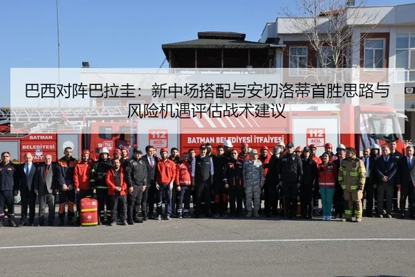 ba-xi-dui-zhen-ba-la-gui-xin-zhong-chang-da-pei-yu-an-qie-luo-di-shou-sheng-si-lu-yu-feng-xian-ji-yu-ping-gu-zhan-shu-1-315.jpg